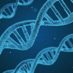 https://pixabay.com/de/dna-string-biologie-3d-1811955/
