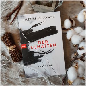 Melanie Raabe - Der Schatten