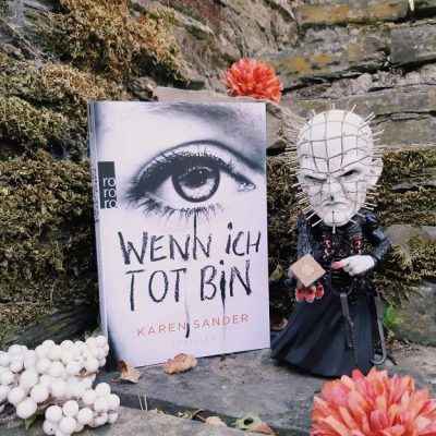 Karen Sander - Wenn ich tot bin - Rowohlt Verlag